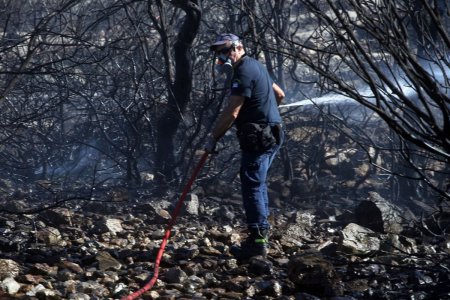 Nu mai exista incendii de vegetatie active in zona Atenei, anunta pompierii