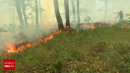 Un barbat de 70 de ani din Cluj a murit ars de viu dupa ce a dat foc la o miriste