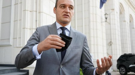 Deputatul Dan Vilceanu si-a imprumutat mama, milionara din contracte cu statul, cu 800.000 de lei