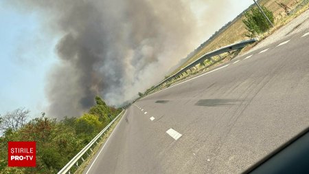 Puternic incendiu de vegetatie in judetul Dolj, intre Craiova si <span style='background:#EDF514'>CARACAL</span>. Traficul rutier a fost oprit din cauza fumului