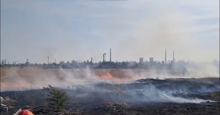 Incendiu de vegetatie uscata in zona Ploiesti Triaj: intervin peste 20 de pompieri VIDEO