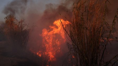 Incendii de vegetatie in estul Turciei. Sute de pompieri lupta sa stinga flacarile