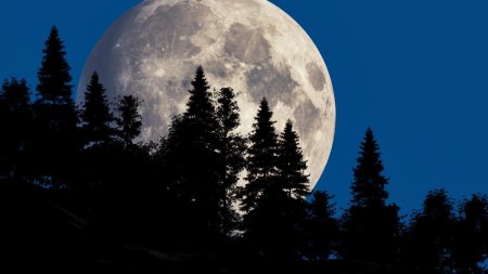 Superluna Albastra. Cand va avea loc cea mai mare si stralucitoare luna plina din 2024