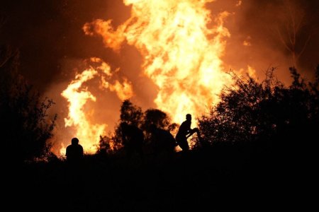 Un incendiu de padure s-a extins pana in zonele rezidentiale din orasul turc Izmir. Oameni evacuati din mai multe cartiere