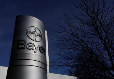 Actiunile Bayer au crescut vineri cu 11%