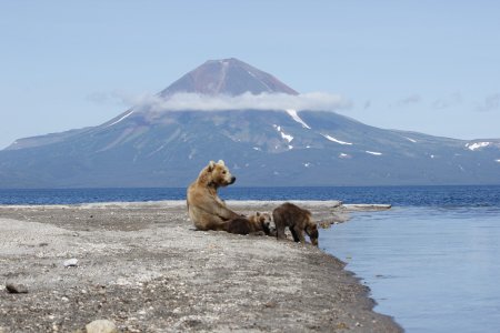 Cutremur cu magnitudinea 7 in largul peninsulei rusesti Kamceatka. Autoritatile din SUA au emis <span style='background:#EDF514'>ALERTA DE TSUNAMI</span>