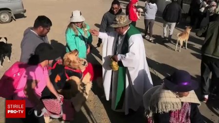 Catei din toate rasele au fost dusi de stapanii lor la o biserica din Bolivia. Cum au reactionat animalutele