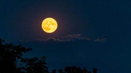 Cand va putea fi vazuta Luna Sturion. Super<span style='background:#EDF514'>LUNA ALBASTRA</span>, cea mai stralucitoare Luna plina, va lumina cerul