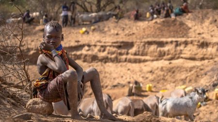 Efectele El Nino: Peste 65 de milioane de oameni sufera din cauza secetei din sudul Africii