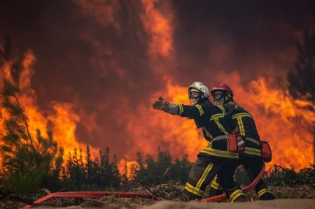 Incendiu de vegetatie uscata la Gradina Botanica din Iasi