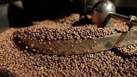 Prajirea boabelor de cafea: Ce impact poate aduce cafelei tale