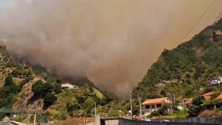 Incendiu de vegetatie in Madeira. Sute de pompieri au intervenit pentru stingerea flacarilor