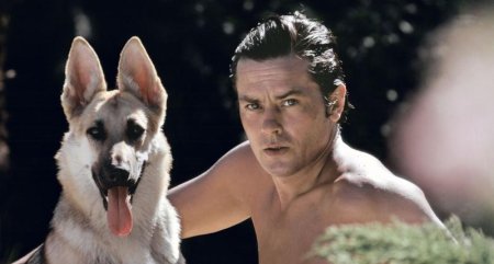 Alain Delon, inmormantat langa cei 35 de caini ai sai