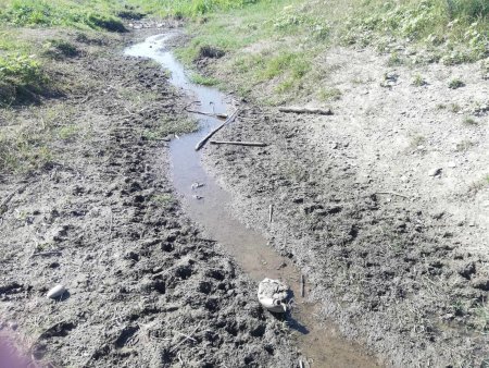 Peste 600 de localitati primesc apa cu portia din cauza secetei. Care sunt cele mai afectate zone