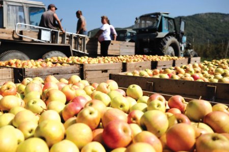 Minunea poloneza. Cum a devenit Polonia campionul european la crestere economica: fonduri europene, cheltuieli guvernamentale si consumul gospodariilor impulsionat de salariile mai mari