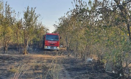 Barbat gasit mort in urma unui incendiu de vegetatie uscata, in judetul Dolj. Victima a incercat sa-si salveze locuinta