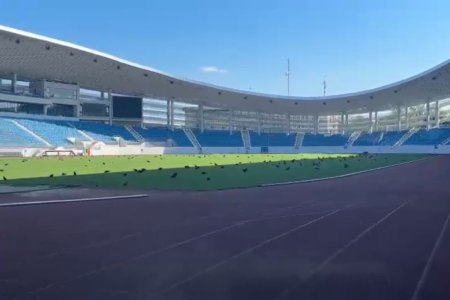 Imagini ireale pe stadionul de 28 de milioane de euro din Romania » Pasarile distrug gazonul