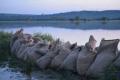 Cod portocaliu de inundatii in nord-vestul Romaniei