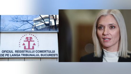 Ministrul Justitiei trimite Corpul de Control la Registrul Comertului. Alina Gorghiu: Obiectul actiunii nu este public