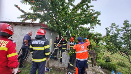 Pompierii au salvat o capra care a cazut intr-o fantana adanca de 20 de metri