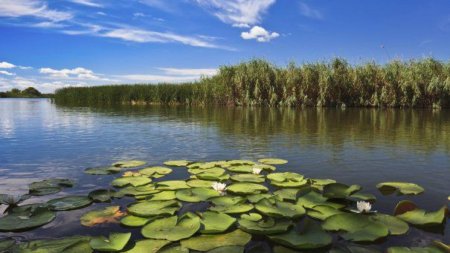 Proprietarii isi vand pensiunile si vilele din Delta Dunarii: Numarul turistilor a scazut dramatic, iar durata sejurului s-a redus