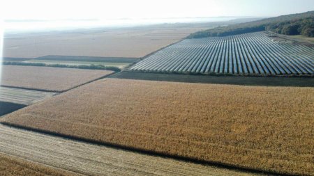 Finas Group dezvolta un nou parc solar la Glodeni