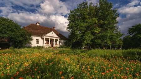 Gradina cu mirodenii din Harghita a devenit cunoscuta peste hotare: "Pentru noi este o mare satisfactie