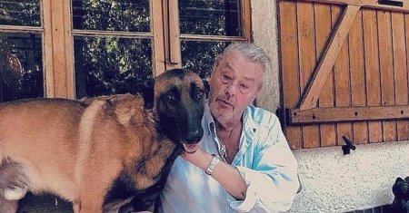 Familia lui Alain Delon a refuzat eutanasierea cainelui sau! Actorul isi dorea ca Loubo sa fie inmormantat alaturi de el