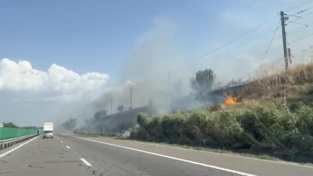 Incendiu de vegetatie langa Autostrada A2, la Podul Cernavoda: Soferii au filmat focul. Circulatia trenurilor a fost oprita