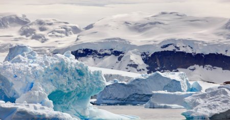 Antarctica, sub asediu. Topirea ghetarilor deschide poarta invadatorilor