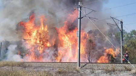 Incendiile de vegetatie blocheaza traficul feroviar: paisprezece trenuri intarziate pana la 5 ore