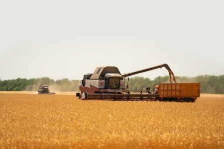 Un dealer de cereale important din vestul Romaniei a intrat in insolventa peste noapte, cauzand un cutremur pe piata. Probabil s-au adunat din spate o g<span style='background:#EDF514'>RAMADA</span> de datorii si tot le acoperea