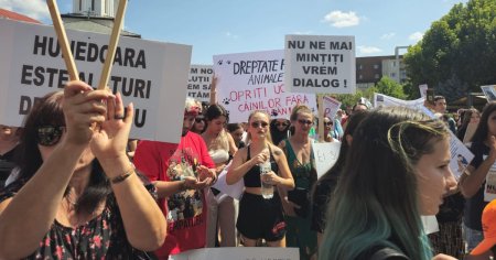 Protest in Targu-Jiu, dupa uciderea a 60 de caini din adapostul local: Ne confruntam cu autoritati incompetente VIDEO