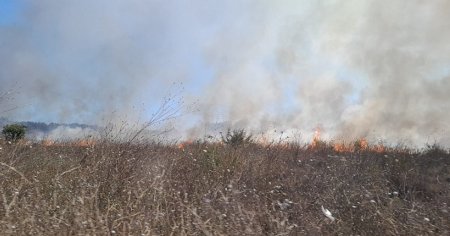 Un incendiu a provocat panica in statiunea Olimp. Mai multe trenuri au fost oprite VIDEO