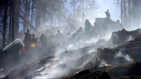 Incendiul din Masivul Bucegi: a durat o saptamana dar l-au biruit!