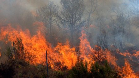 Val de incendii devastatoare izbucnite in mai multe zone din tara. Elicopterele armatei intervin