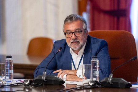 Romascanu: Victor Negrescu este un om politic pentru ca toata lumea vorbeste ca nu se pricepe la strans <span style='background:#EDF514'>SURUBURI</span> ca sa ajunga comisar pe nu stiu ce