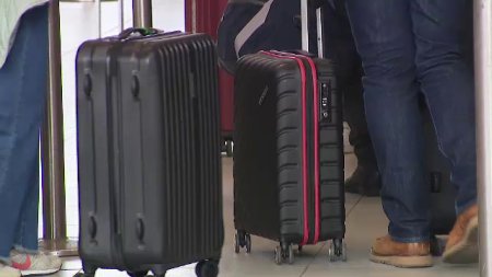 Ce au descoperit politistii din Aeroportul Otopeni in bagajele a doi pasageri care veneau din Turcia. FOTO