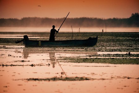 Criza Dunarii: noi restrictii de pescuit in Delta Dunarii din cauza nivelului scazut al apei