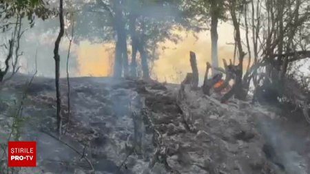 Pompierii din Mehedinti se lupta de zile intregi cu incendiile. Focul a fost la un pas sa mistuiasca satul Ciresu