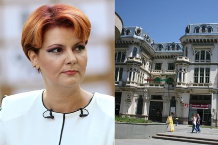 INCREDIBIL. Olguta Vasilescu 