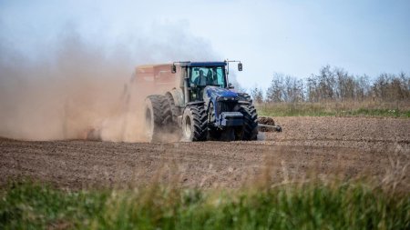 Noi masuri pentru fermierii afectati de seceta. Ministrul Agriculturii: Despagubiri de pana la 3.000 de lei pe hectar