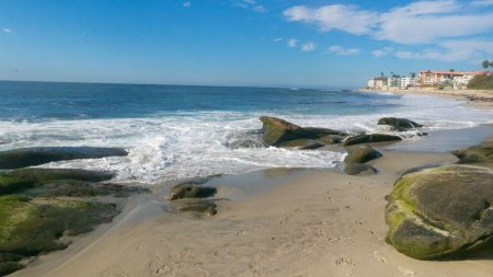 Legenda Pestelui apocalipsei. A fost descoperit pe o plaja din California