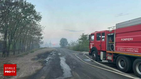 Incendiu de proportii langa Timisoara. Aproape 25 de hectare de vegetatie uscata au fost mistuite de flacari