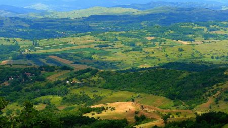 Comuna Murgesti, Buzau, adaugata pe Harta Longevitatii in Romania a Senatului Stiintific al Fundatiei Dan Voiculescu