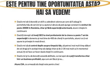 Poti castiga 10.000 lei/luna oferind servicii de optimizare SEO