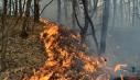 Incendiu major in Valea Calugareasca. Focul, care se manifesta pe 5 hectare, a cuprins si o masina