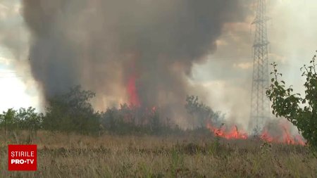 Incendii uriase fac ravagii in Mehedinti. Focul a fost pus chiar de oameni: Il lasa deschis ca sa distruga tot