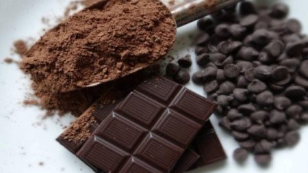 Viitorul ciocolatei ar putea depinde de cultivarea cu succes a boabelor de cacao in laborator