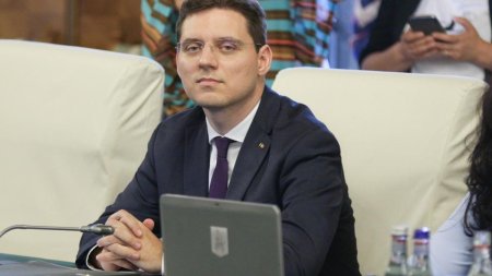 Negrescu: Romania poate spera chiar la o pozitie de vicepresedinte daca va exista un consens national